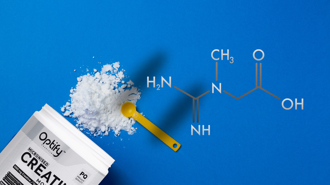 Creatine Monohydrate Explained: Benefits, Myths, and Science