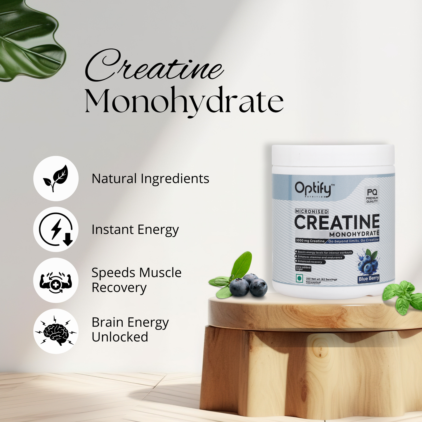 Creatine monohydrate Blueberry